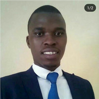 Panashe Chipenyu