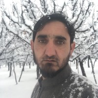 Abdul Mir