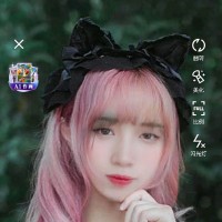 李雪连