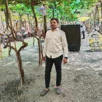 Sagar Bokse