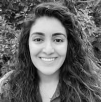 Nisreen Farhoud