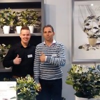 Stephanotis Fleur Parfum