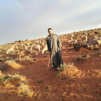 Elabdallah Houcine