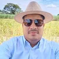 Wesley Miguel De Lima