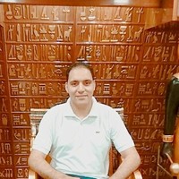 Ayman Elkholy