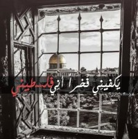 majd N.nubani