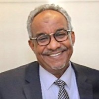 Elhussien Elhussien