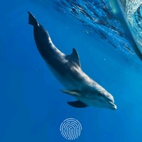王浩骥