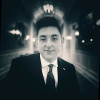 Chaim Levin