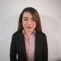 Lesly Marion Bustos Treviño