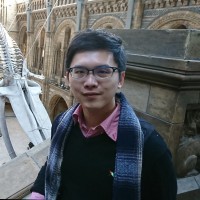 Louis Li