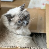 史林涛