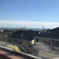 林惠娟