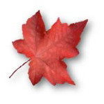 Maple Tree Education Centre