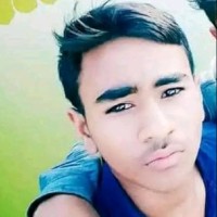 R. gurjar