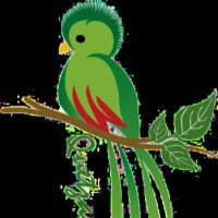 Grupo Quetzalli