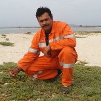 Luis Pereira