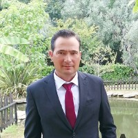 joaquim rodrigues alves