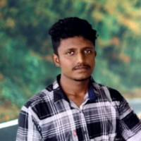 Sarathi P