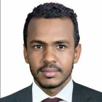 mohammed almojtaba abdalrahim altub mona