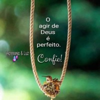 Anderson Alves