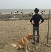 丁思维