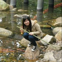 Trang Trinh
