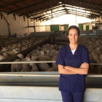 María José Montero Collado