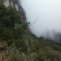 江镇峰