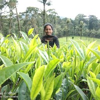 Deepa R