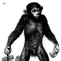 John Limber