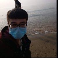 杨然然