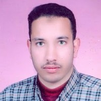 Mohammad Abdelmotaleb