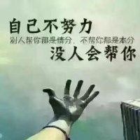罗金龙