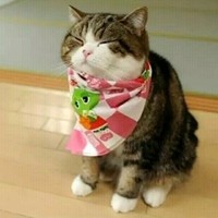 黄伟文