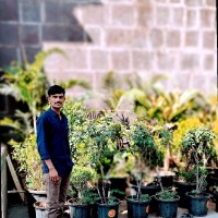 Devendra Bidwe