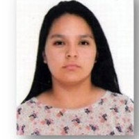 Karin Liseth Terrones Huamán