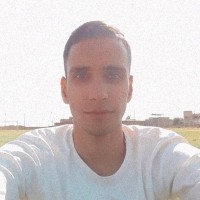 Reza Ansari