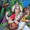 Sathyapriya Palaninathan
