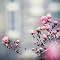 Testing Testuser