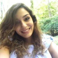 Negin Mirzakhanafchi