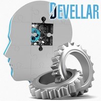 Devellar Company