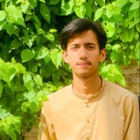 Aneeq Malik
