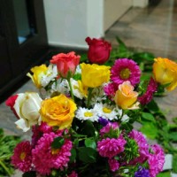SAVITHA J