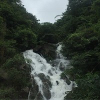 杨启银