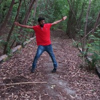 Venkat Nive