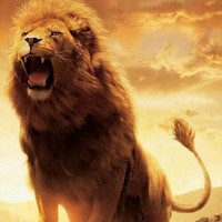 edson farias de freitas