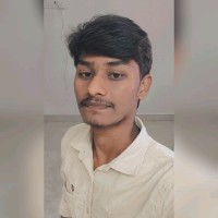 Panneerselvam M