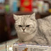朴俊镐