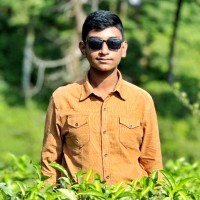 Md Abiduzzaman Ayon